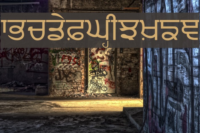 Punjabi Font examples