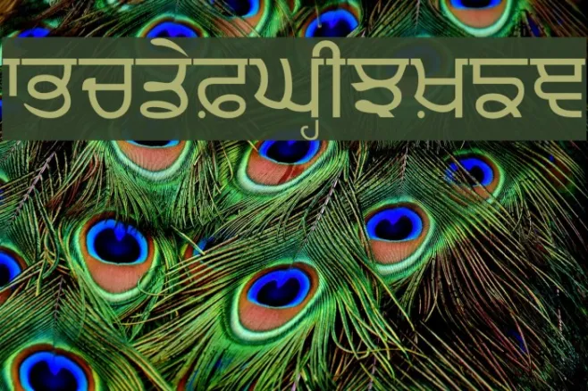 Punjabi Example 3