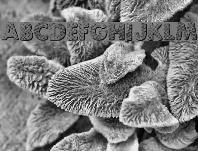 Punk Dots Font examples