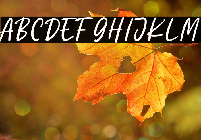 Punk Head Personal Use Example 3