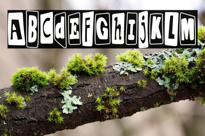 Punk Homo Erectus Example 1