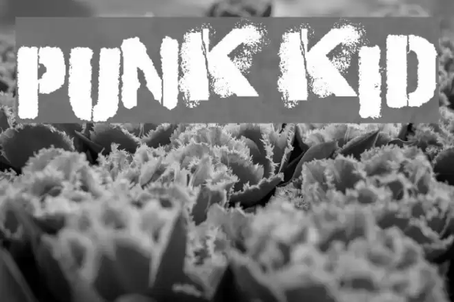 Punk Kid Font examples