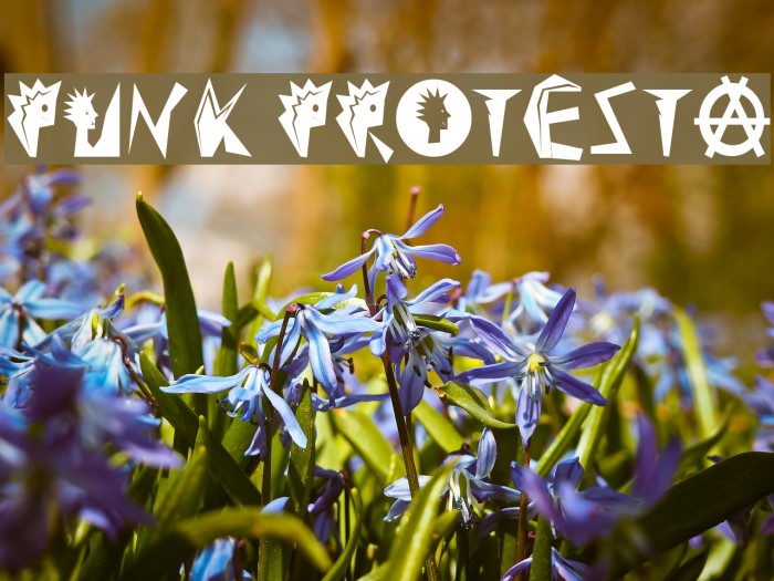 Punk Protesta Example 1