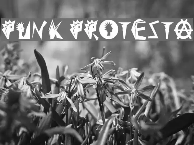 Punk Protesta Font examples
