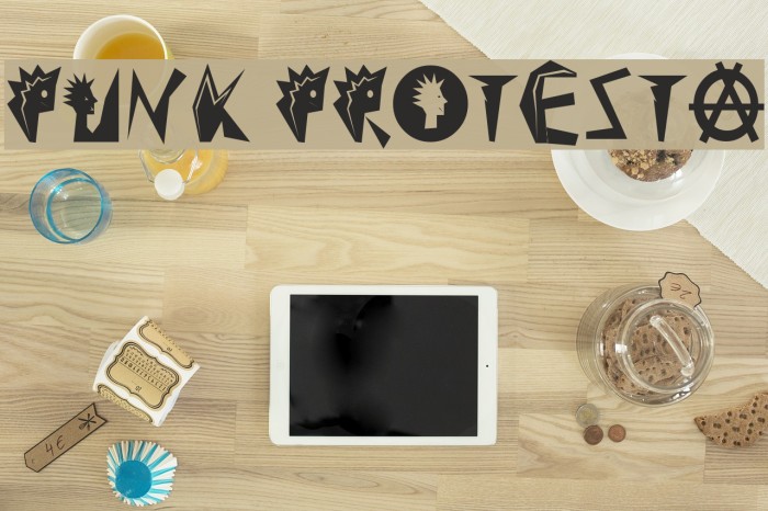 Punk Protesta Example 2