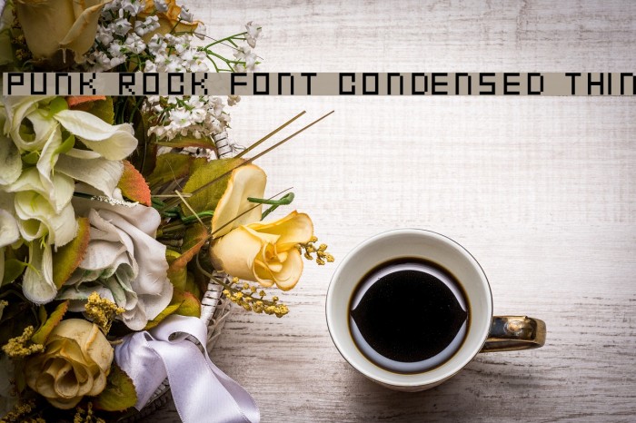 Punk Rock Font Condensed Thin Font examples