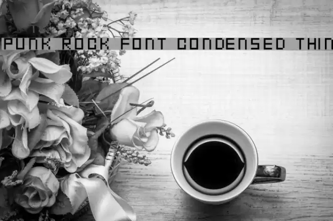 Punk Rock Font Condensed Thin Polices examples