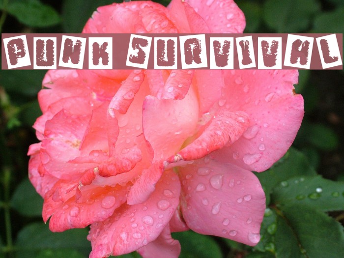 Punk Survival Font examples