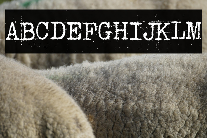 Punk Typewriter Example 1