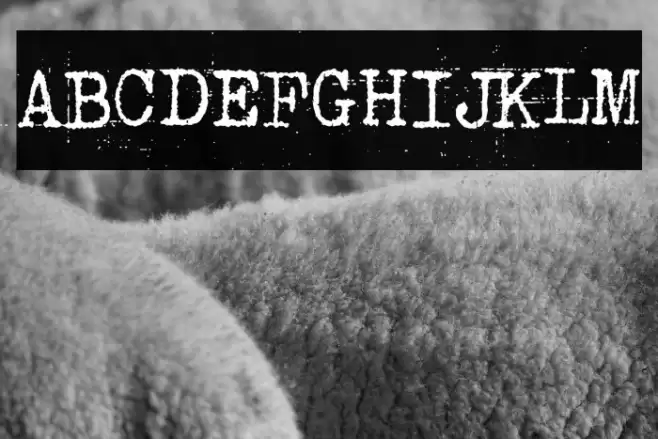 Punk Typewriter Font examples