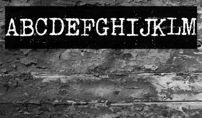 Punk Typewriter Font examples