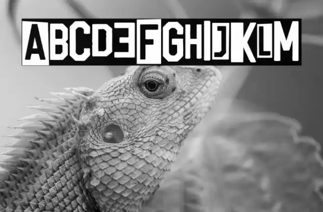 Punk University Font examples