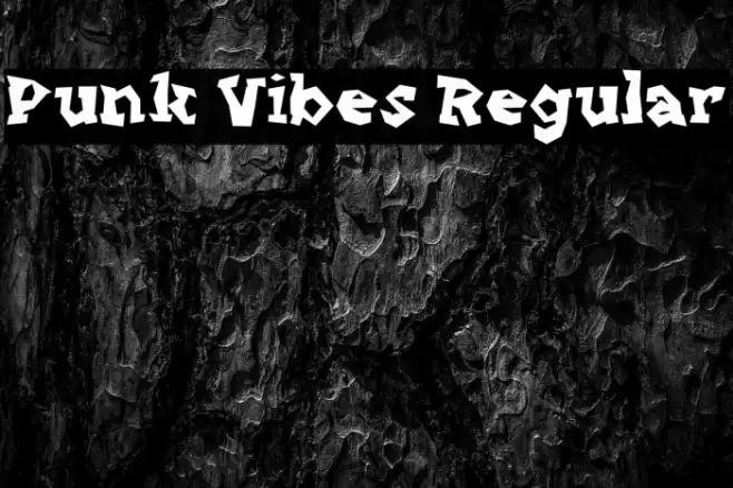 Punk Vibes Regular Schriftart examples