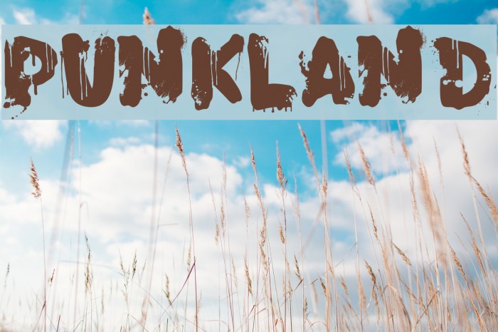 PunkLand Font examples