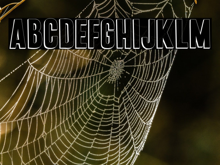 Punkaholic 3D Example 3