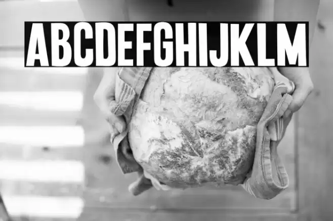 Punkaholic Font examples