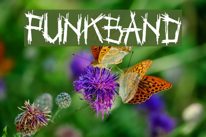 Punkband Schriftart examples