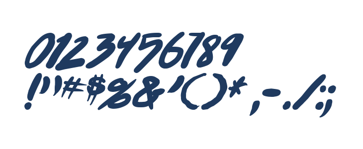 Punkboy Bold Italic Other Characters