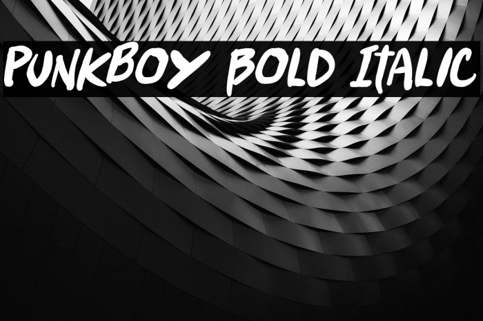 Punkboy Bold Italic Font examples