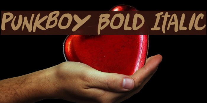 Punkboy Bold Italic Example 2