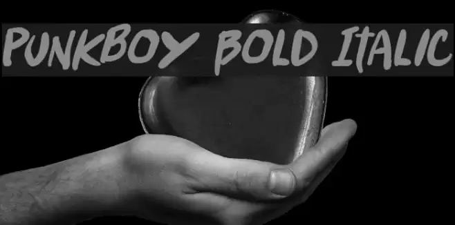 Punkboy Bold Italic Font examples