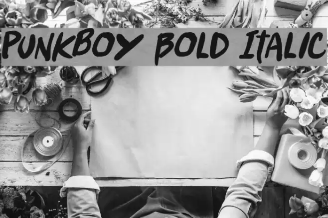 Punkboy Bold Italic Font examples