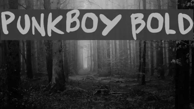 Punkboy Bold Font examples