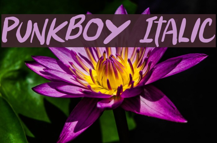 Punkboy Italic Font examples