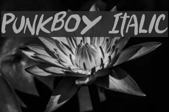 Punkboy Italic Font examples