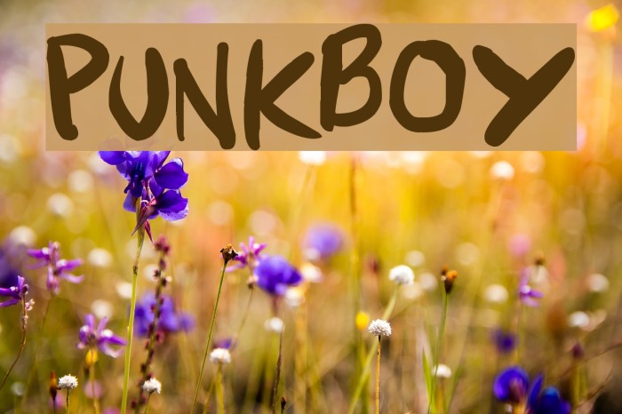 Punkboy Font examples