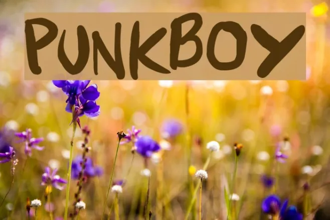 Punkboy Example 1