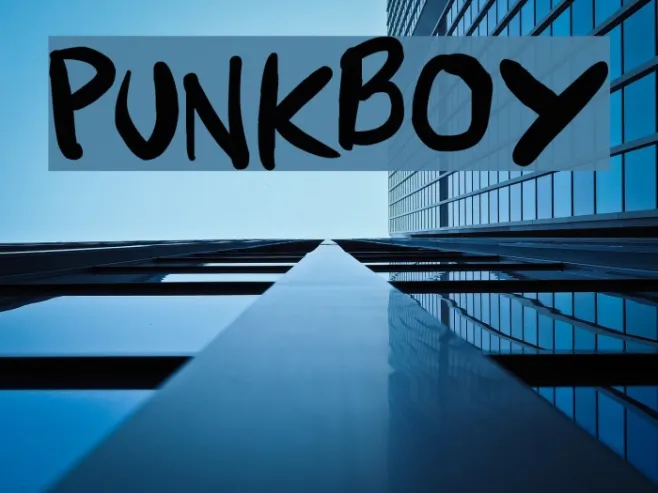 Punkboy Example 2