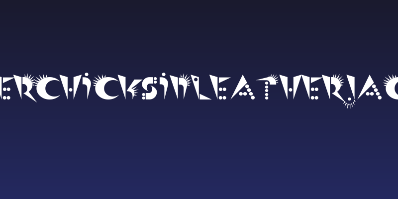 PunkerChicksinLeatherJackets Social Header