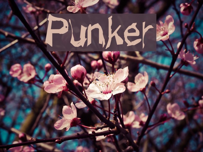 Punker Font examples