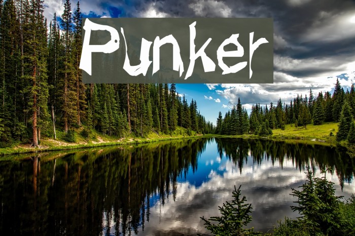 Punker Font examples