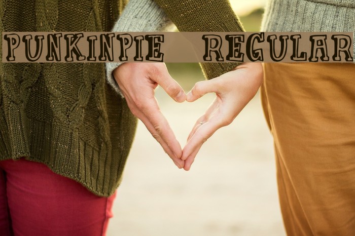 PunkinPie-Regular Font examples