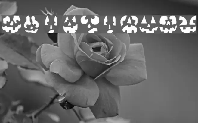 Punkinhead Fonte examples