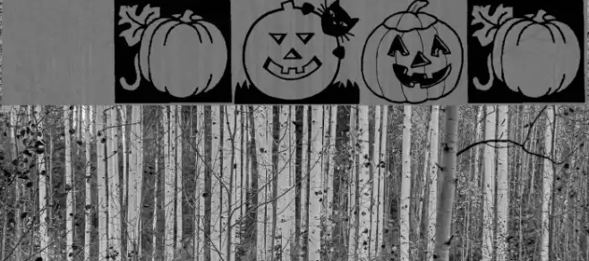 Punkins Fonte examples