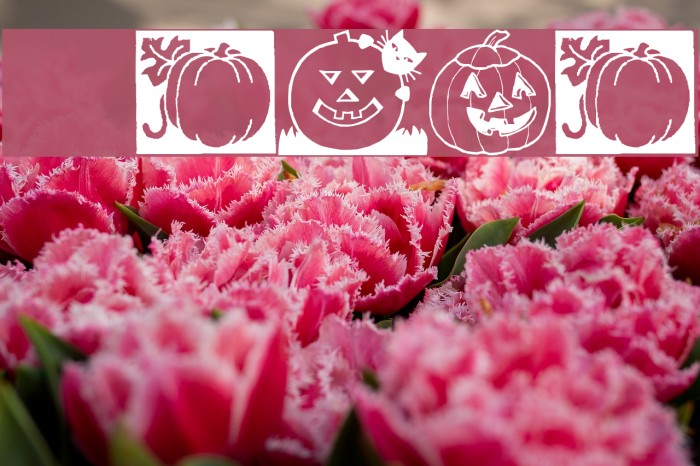 Punkins Font examples