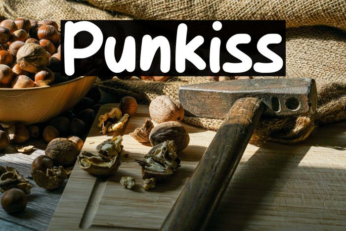 Punkiss Example 2