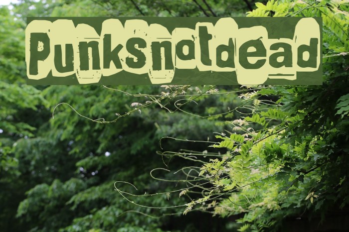 Punksnotdead Font examples