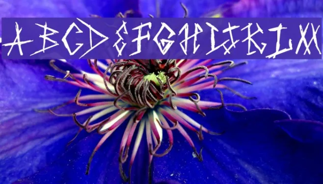Punkstoric Example 1