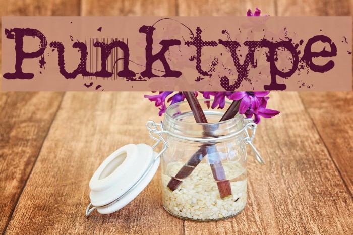 Punktype Font examples
