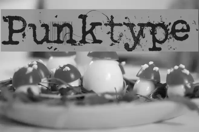 Punktype Font examples