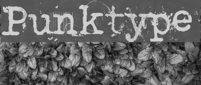 Punktype Font examples