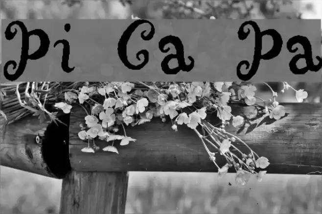 Punquin Crazy Pants Font examples