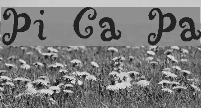 Punquin Crazy Pants Font examples