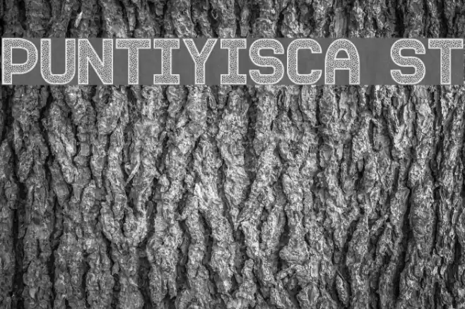 Puntiyisca St Font examples