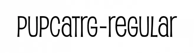 PupcatRg-Regular  font caratteri gratis