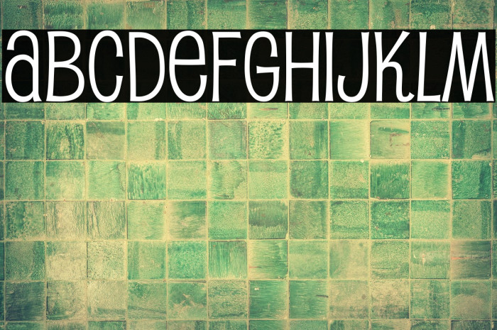 PupcatRg-Regular Example 2